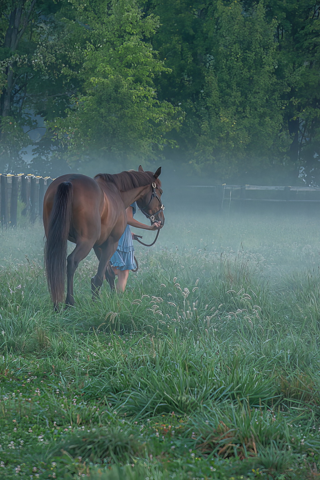 DSC_9895-topaz-denoise-enhance